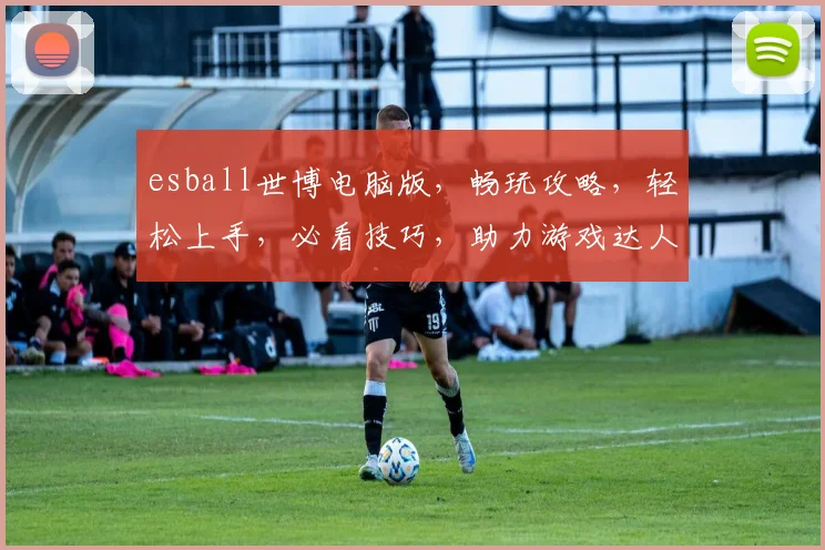 esball世博电脑版，畅玩攻略，轻松上手，必看技巧，助力游戏达人